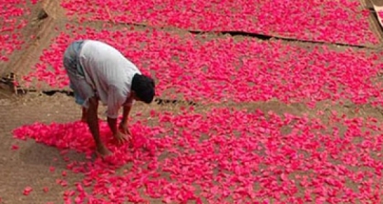 Pastikan Krupuk yang Anda Pilih itu Sehat?